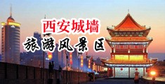 手机看片操逼视频国产中国陕西-西安城墙旅游风景区